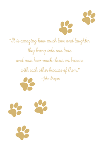 Pawprints Foil Pet Sympathy Greeting Card - 1 card with envelope
