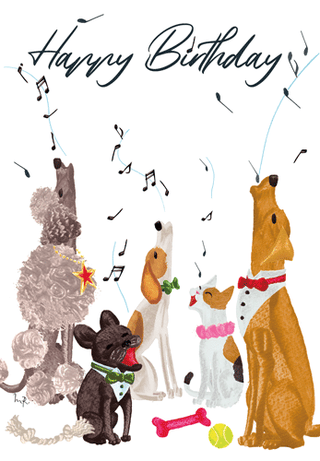 Birthday Serenade Birthday Greeting Card - 1 card with envelope