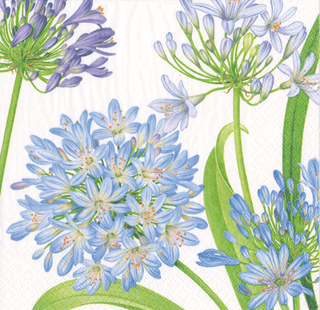 Agapanthus Garden Napkin Luncheon