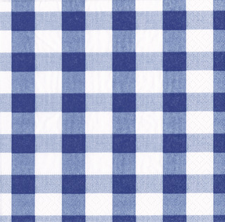 Gingham Blue Napkin Luncheon