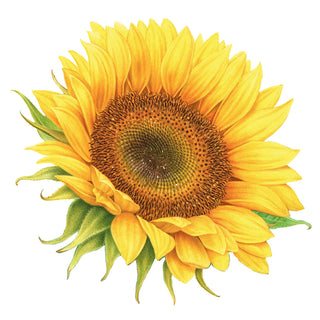 Sunflower Die Cut Gift Tag - 4 per package