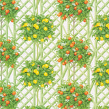 Caspari Citrus Topiaries Gift Wrapping Paper in White - 30" x 8' Roll 10025RC