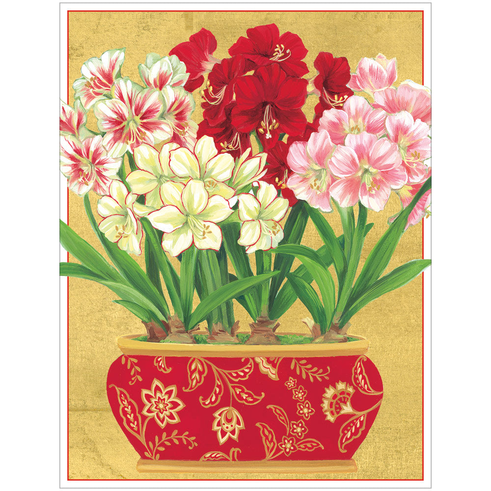 Amaryllis In Pot Christmas Cards in Cello Pack - 5 Cards & 5 Envelopes