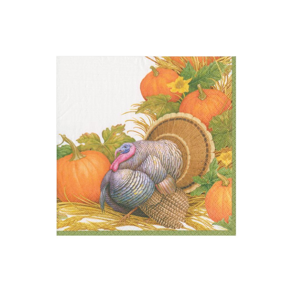 Caspari Thanksgiving Harvest Paper Cocktail Napkins - 20 Per Package ...