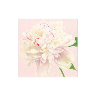 Caspari Duchess Peonies Boxed Paper Cocktail Napkins in Blush - 40 Per Box 16890B