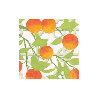 Caspari Orange Grove Boxed Paper Cocktail Napkins - 40 Per Box 17000B