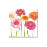 Blooming Daisy Paper Cocktail Napkins - 20 Per Box