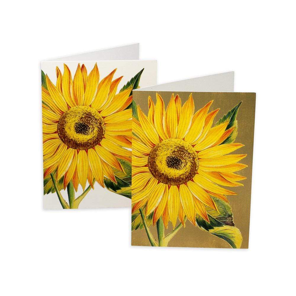 Caspari Sunflower Boxed Note Cards - 8 Note Cards & 8 Envelopes 79614.46