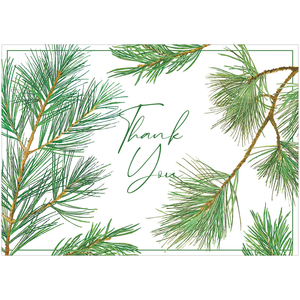 Pine Branches Thank You Notes - 8 Note Cards & 8 Envelopes 92626.44