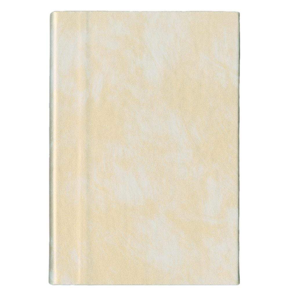 Caspari Iridescent Lined Writing Journal in Champagne - 1 Each 95406