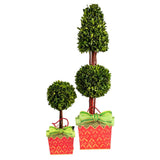 Caspari Cachepot and Ribbon Large Potted Plant Gift Box - 1 Each 9753BCP5