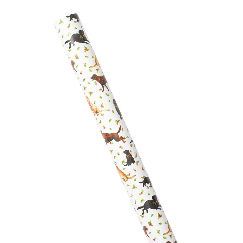 Domino Paper Floral Cross Brace Gift Wrapping Paper - 76 cm x 2.44 m R –  Caspari Europe