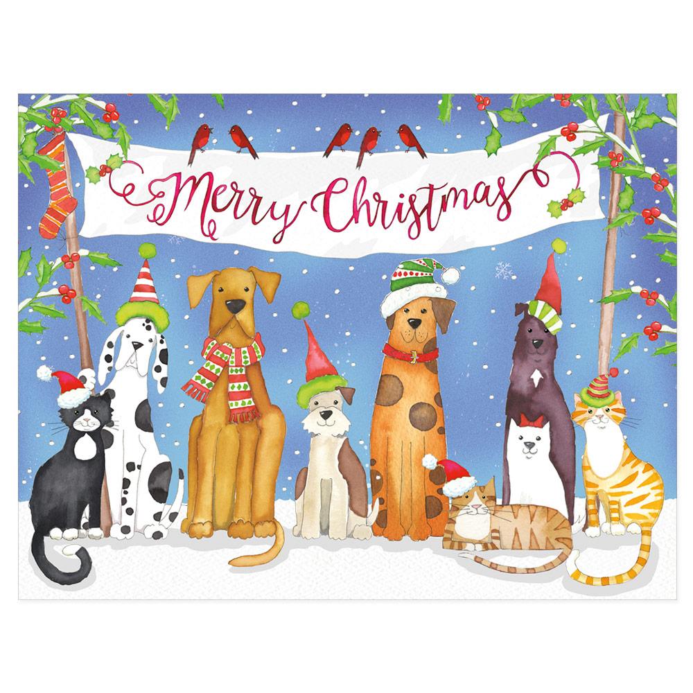 Merry Christmas from Pets Christmas Cards in Cello Pack - 5 Cards & 5 Envelopes