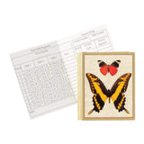 Caspari Deyrolle Butterflies Bridge Tally Sheets - 12 Per Package BT124